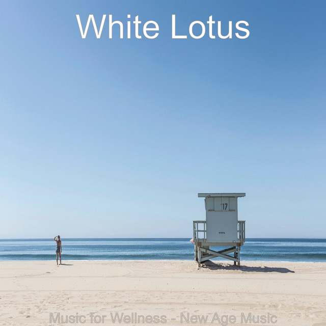 Music for Wellness - New Age Music cover art