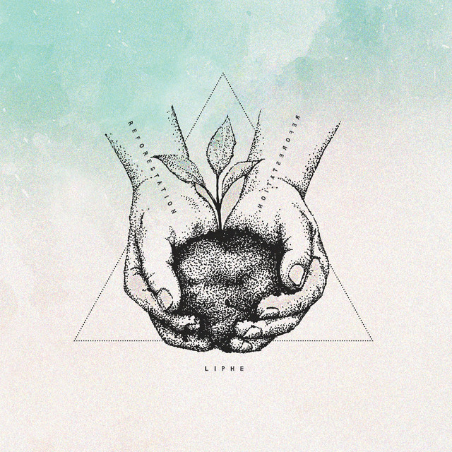 Reforestation cover art
