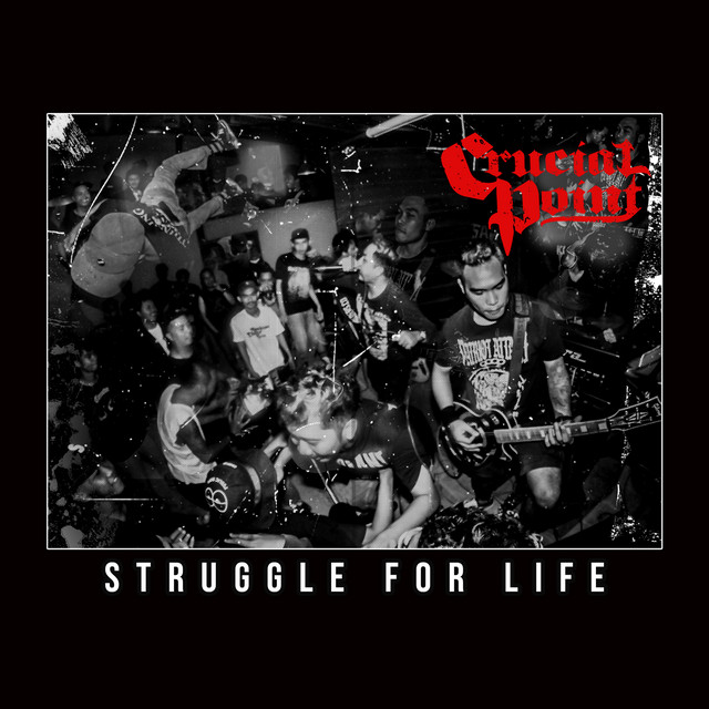 Struggle For Life cover art