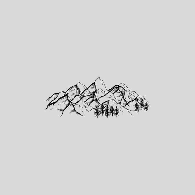 willow cover art