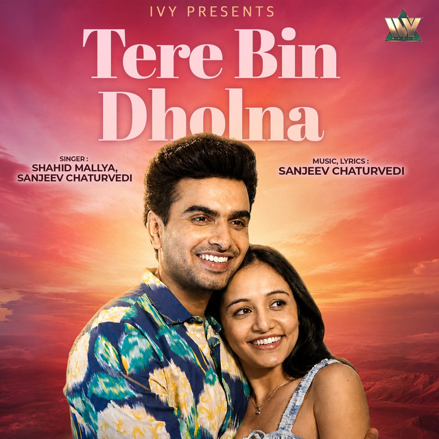 Tere Bin Dholna album image