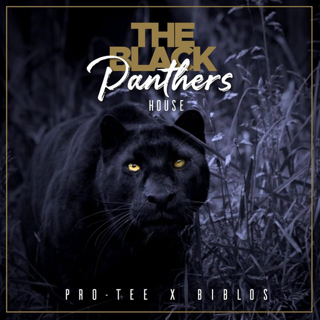 The Black Panther's House