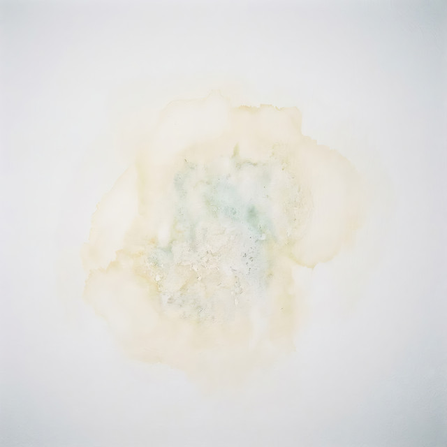 Pladur cover