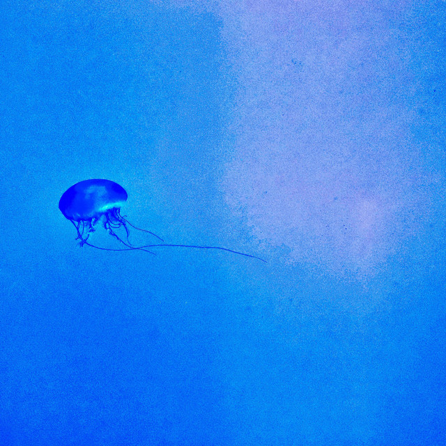 Underwater cover art