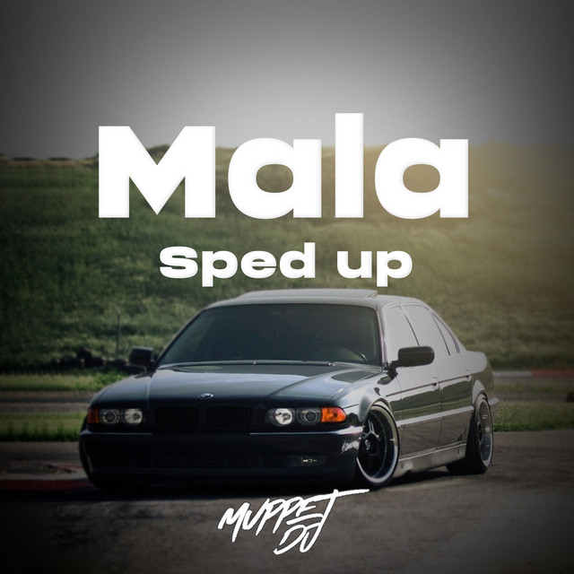 Mala speed up (Remix) cover art