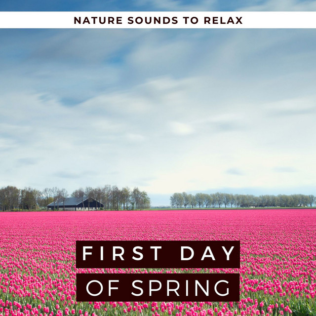 First Day of Spring 2020: Nature Sounds to Relax with Birds, Rain, Blackbirds & Water cover art