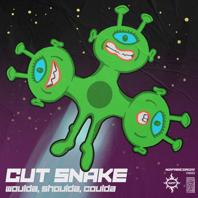 Woulda, Shoulda, Coulda cover art