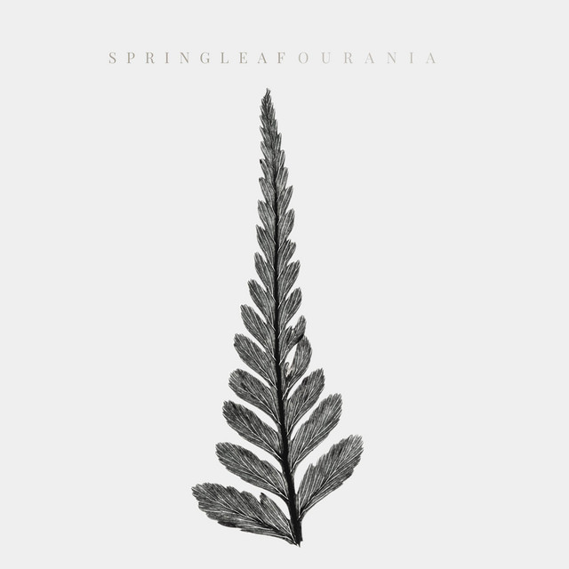 Springleaf cover art