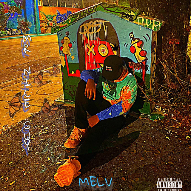 Mr. Nice Guy cover art