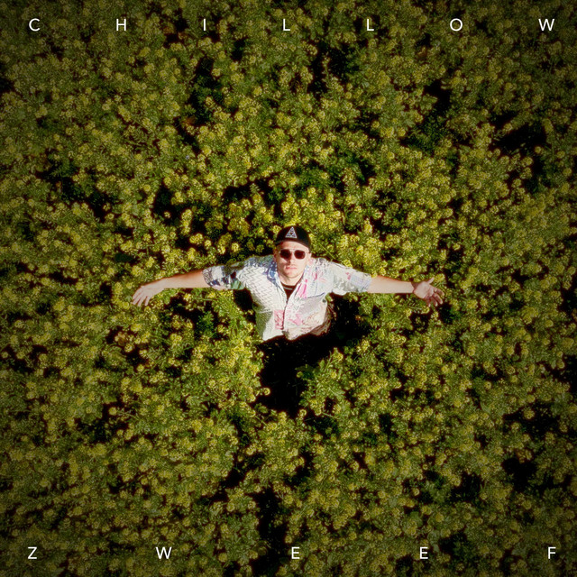 Zweef cover