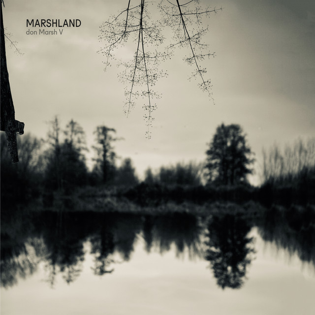 Marshland cover art