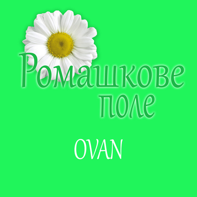 Обкладинка: Ромашкове поле — Ovan
