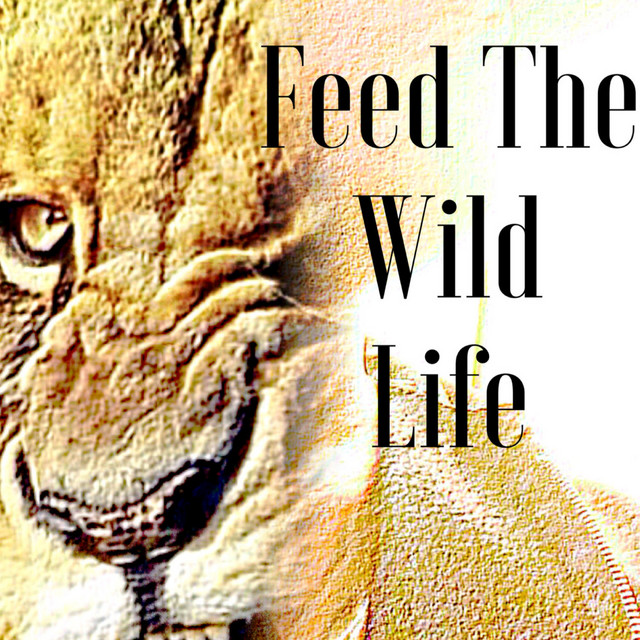 Feed the Wild Life - EP cover art