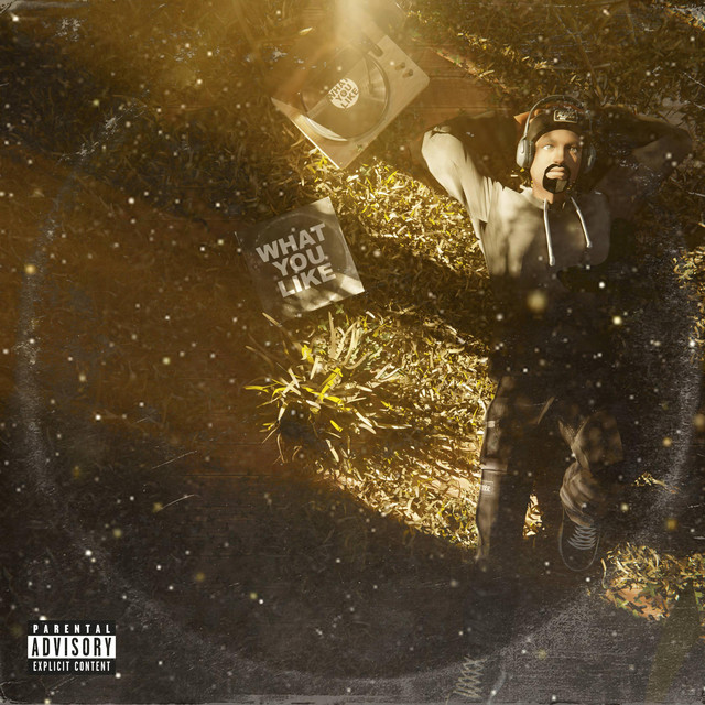 What You Like cover art