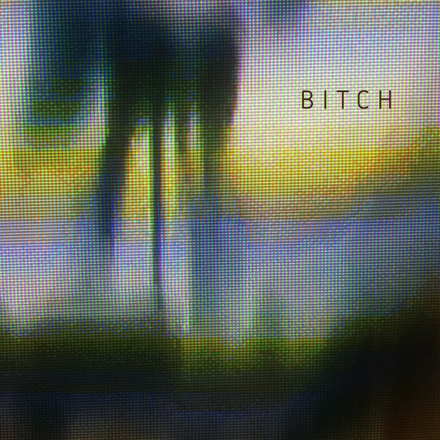 Bitch cover art