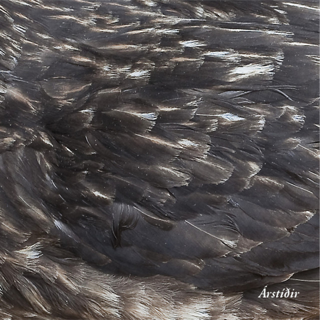 Árstíðir cover art