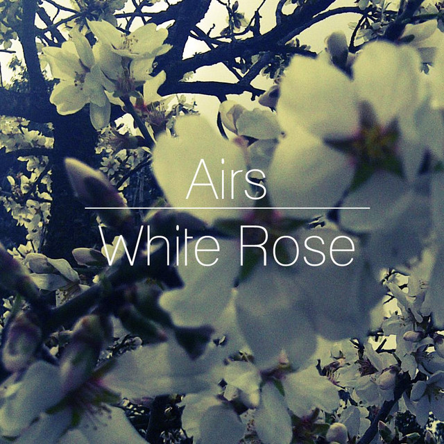 White Rose cover art