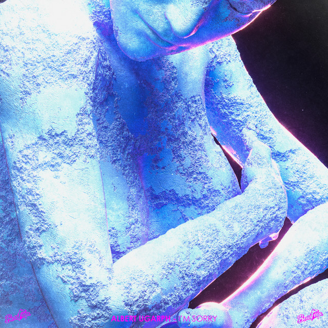 I’m Sorry cover art