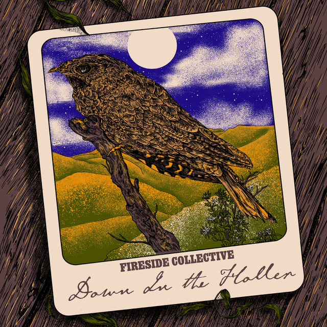 Down In the Holler cover art