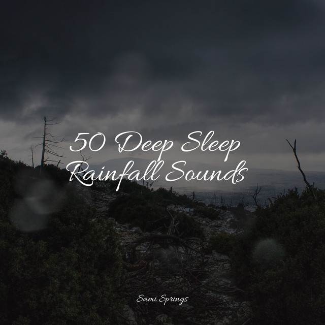 50 Loopable Rain Sounds for Sleep - Album by Native American Flute ...