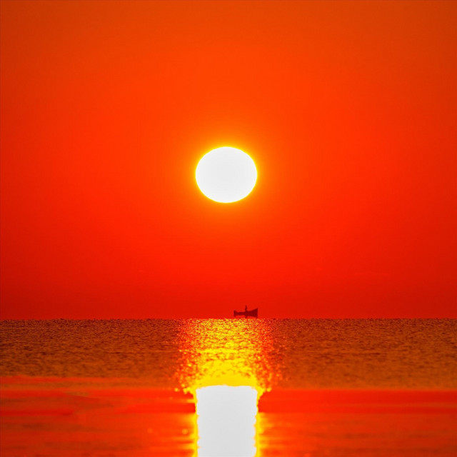 Dawn Shadows cover