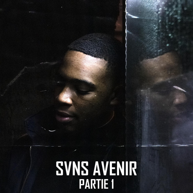 Sans Avenir : Partie 1 cover art