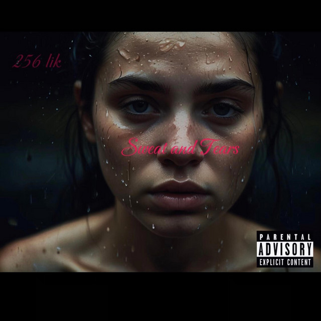 256 lik