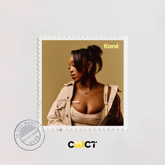 If You Want - CNNCT album image