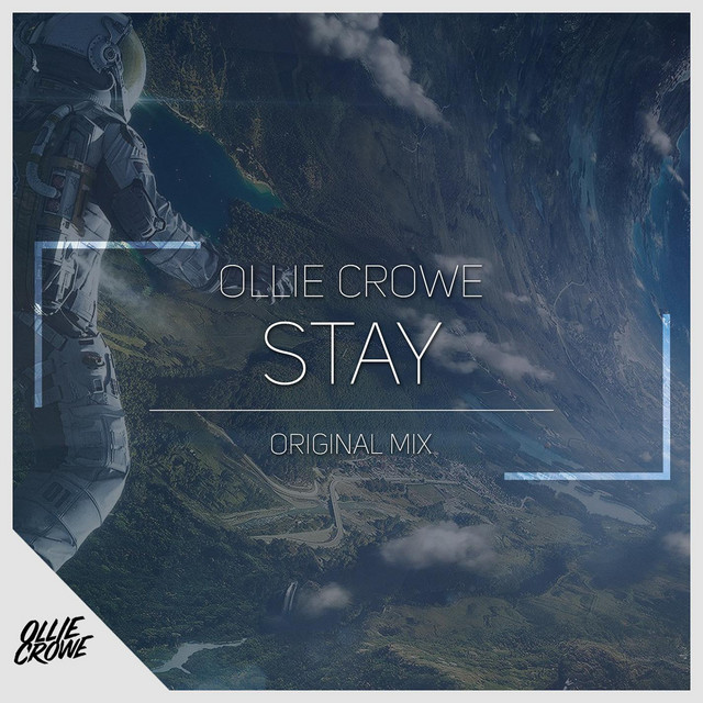 Stay cover