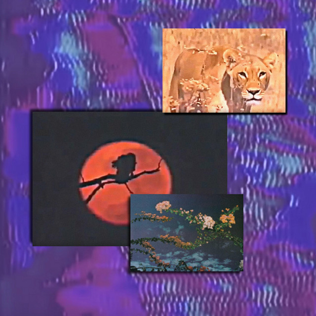 Ultima Flux cover art