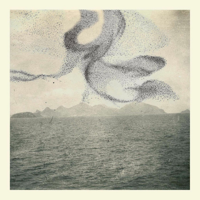 A Small Murmuration cover art