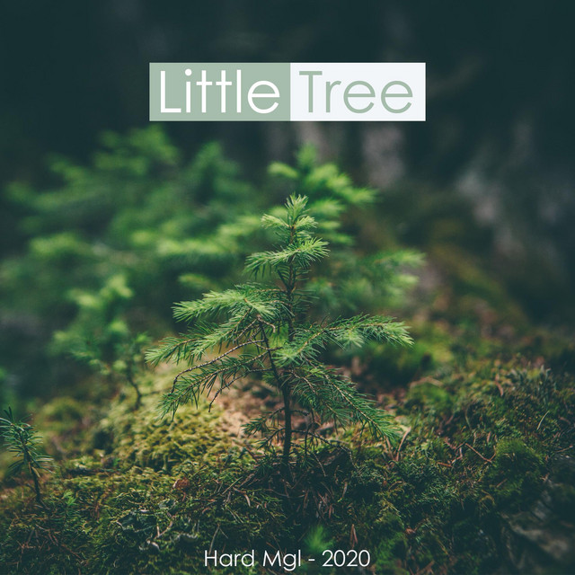 Little Tree - EP by Hard Mgl | Spotify