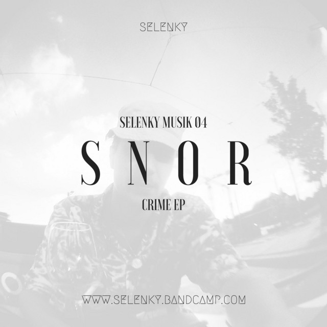 Violin cover art
