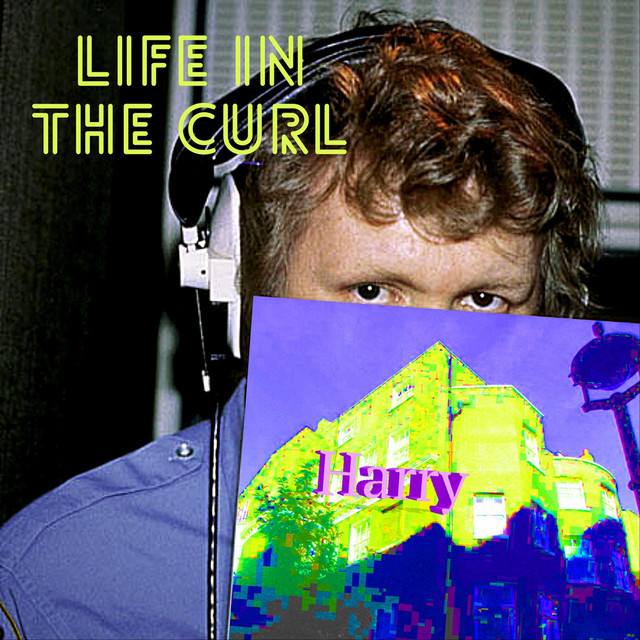 Life in the Curl cover art