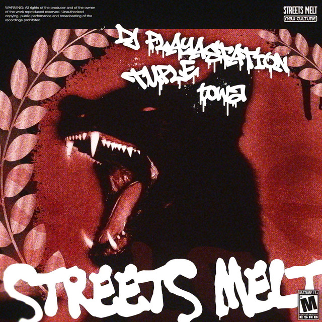 undefined album image