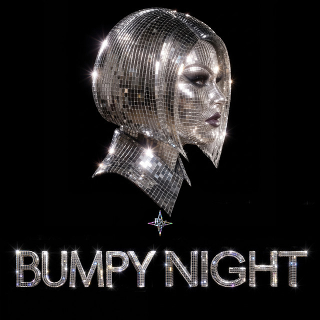 BUMPY NIGHT artwork