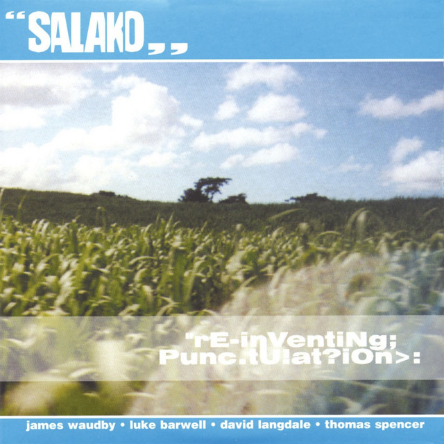 Reinventing Punctuation cover art