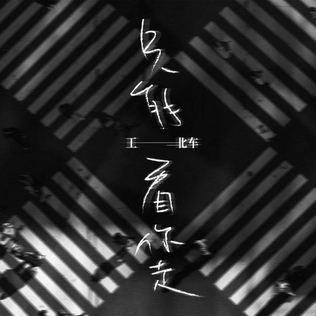 王北车 Spotify