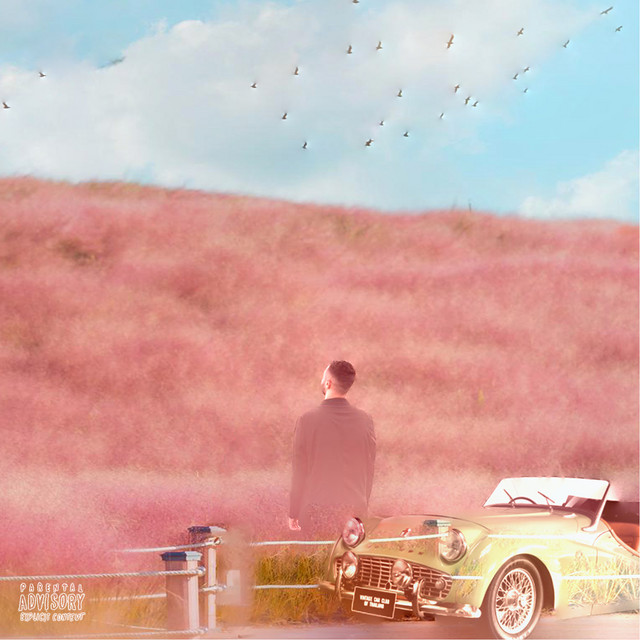 Irreplaceable cover art
