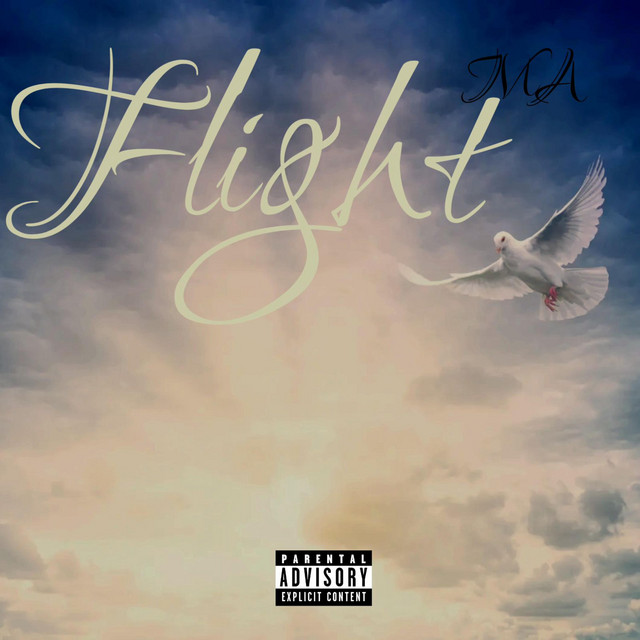 Flight cover art