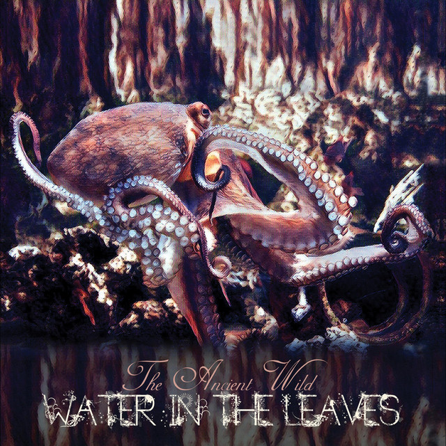 Water in the Leaves cover