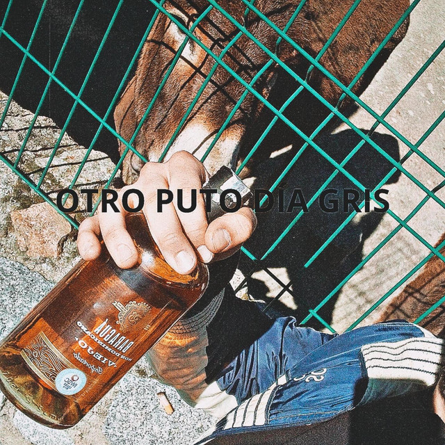 OtroPutoDíaGris