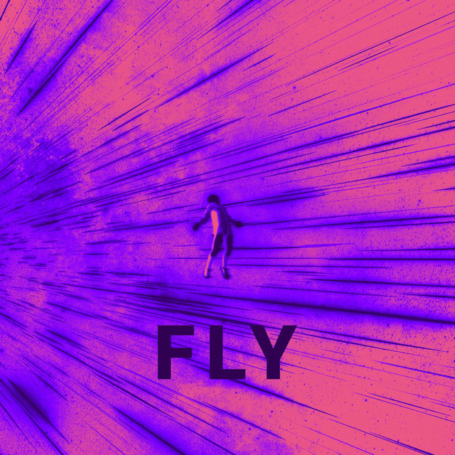 Fly cover art