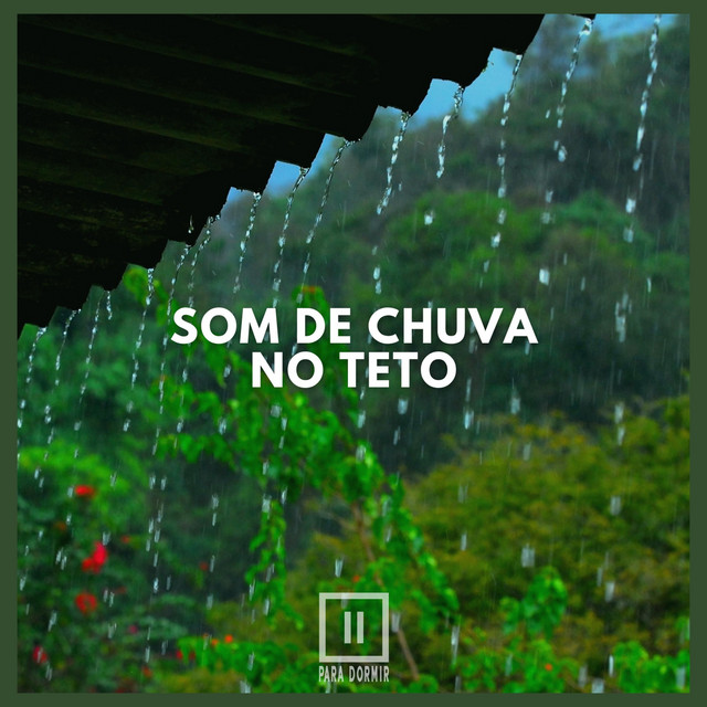 Som de Chuva no Teto cover art