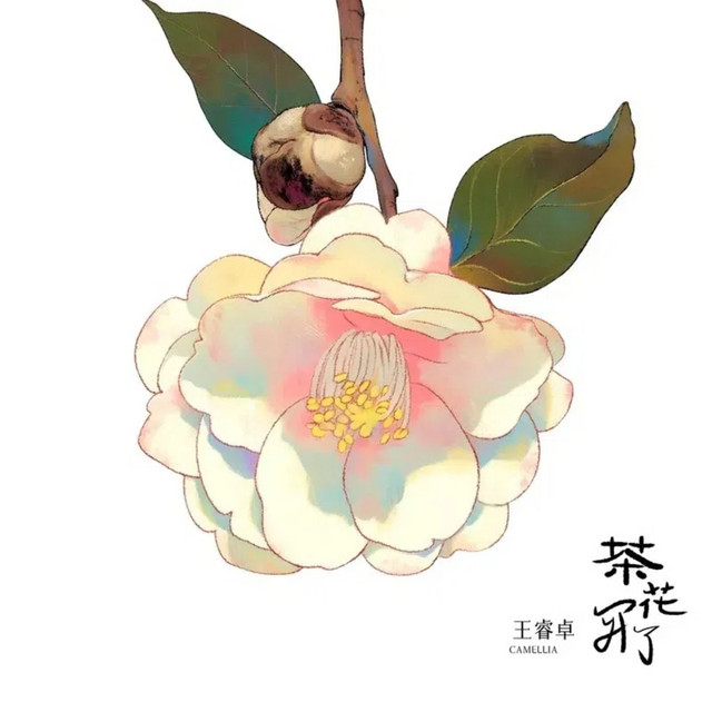 茶花开了 cover art