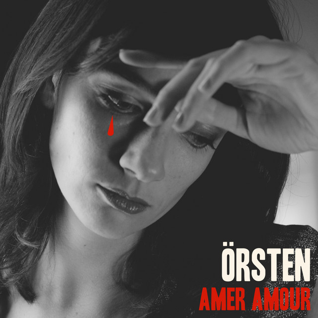 Amer amour cover
