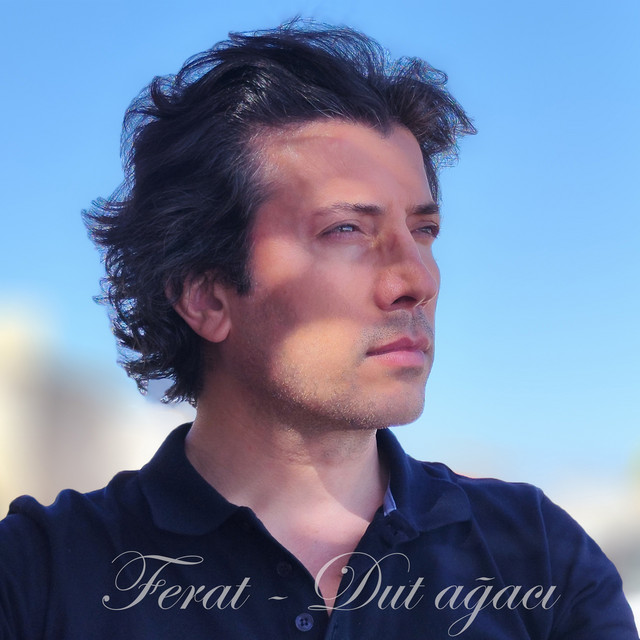 Dut Ağacı cover