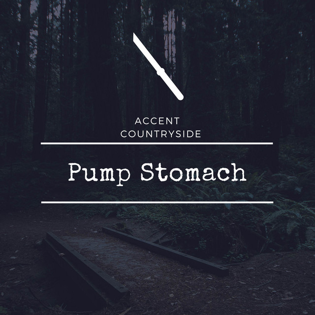 Pump Stomach cover art