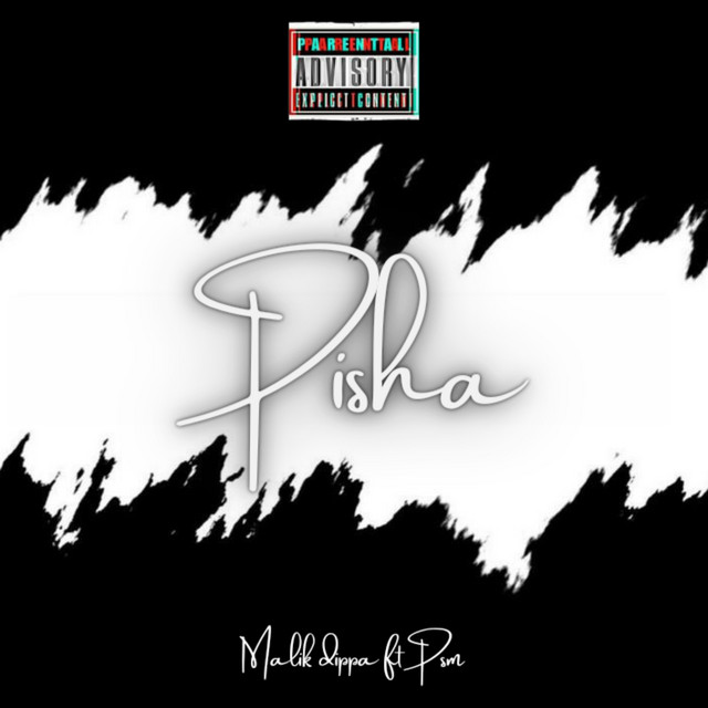 Pisha - Single by Malik Dippa | Spotify