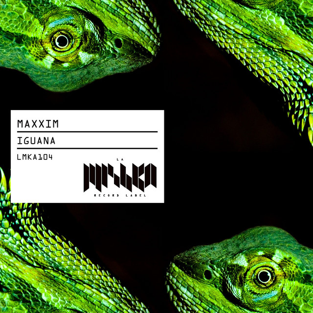 Iguana album art